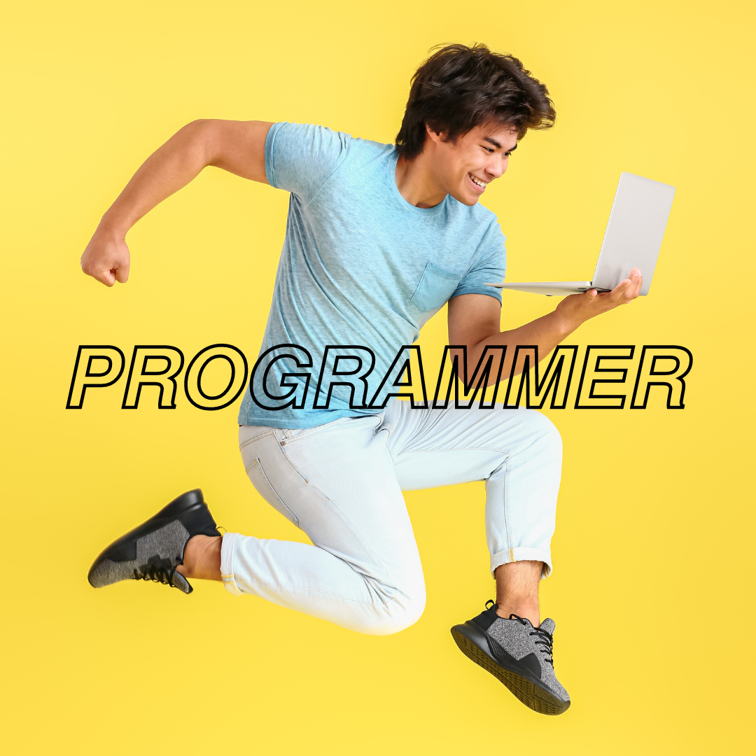 Programmer